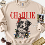 Christmas Custom Pet Sweatshirt